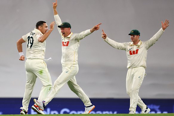 Australia celebrate after Scott Boland claimed they key wicket of Harry Brook.