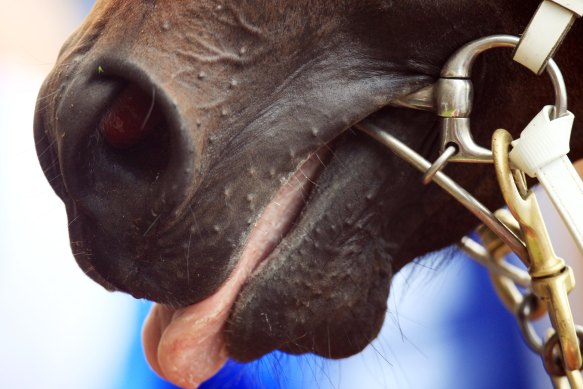 Racing returns to Kembla Grange on Tuesday.