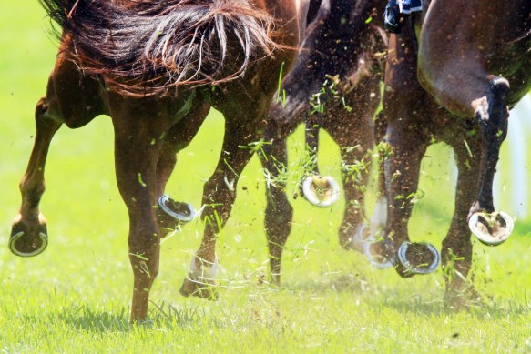 Racing returns to Moruya on Monday.