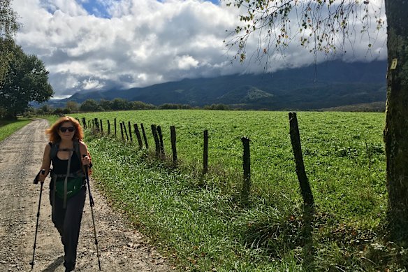 The author walking in south-western France, in the Pyrénéen foothills, in 2017. 