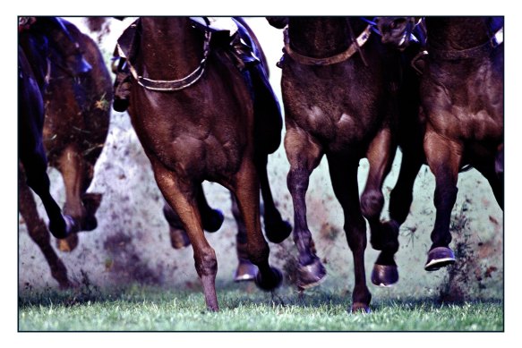 Racing returns to Albury on Monday.