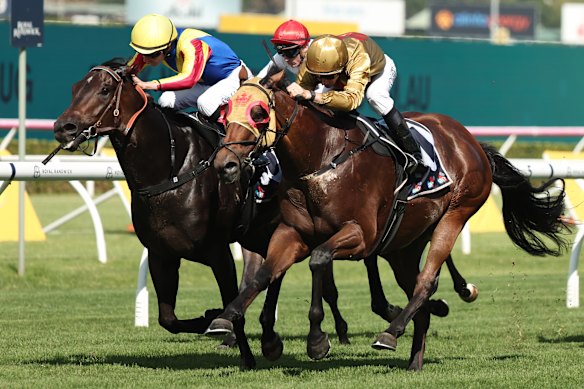 Mailata (left) runs second to Glounthaune at Randwick in April.