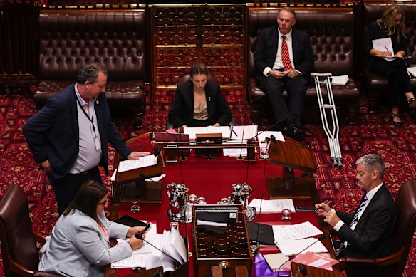 Mark Banasiak, an MP from the Shooters, Fishers and Farmers Party speaks during an emergency sitting of NSW parliament on Tuesday.