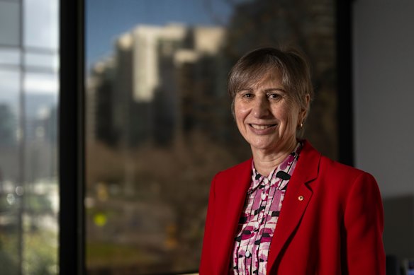 Professor Susan Davis has published new research into mid-life sexual issues related to perimenopause.