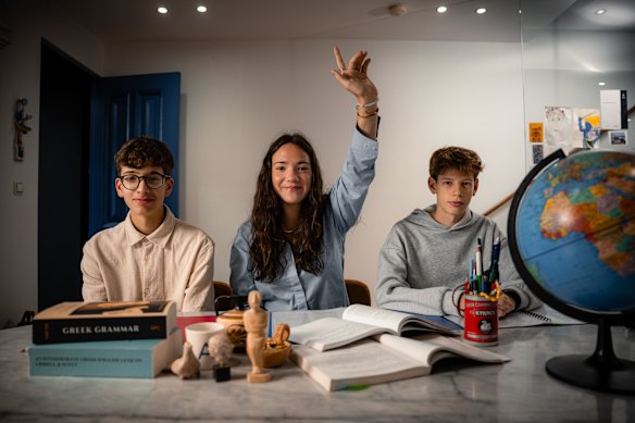 Atticus Iliou Horn, 14, Zoe Kalanis, 15, and Peter Sofiadellis, 14, study classical Greek and were hoping to continue it into VCE, but the subject is now at risk of being dropped.