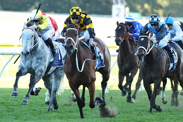 Joliestar romps home in the Shorts on Saturday.