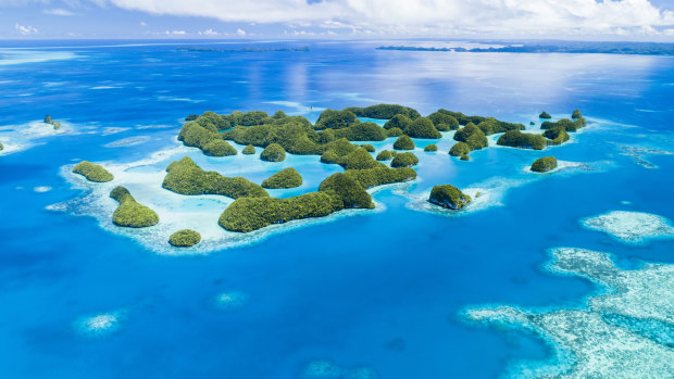 Palau is regarded arsenic  1  of the world’s large  diving destinations.