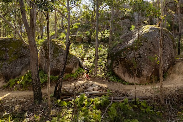 Angry Bull Trail among the granite country of Tenterfield.