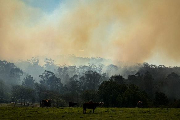 Bushfire fume rises successful Sydney connected Tuesday. 