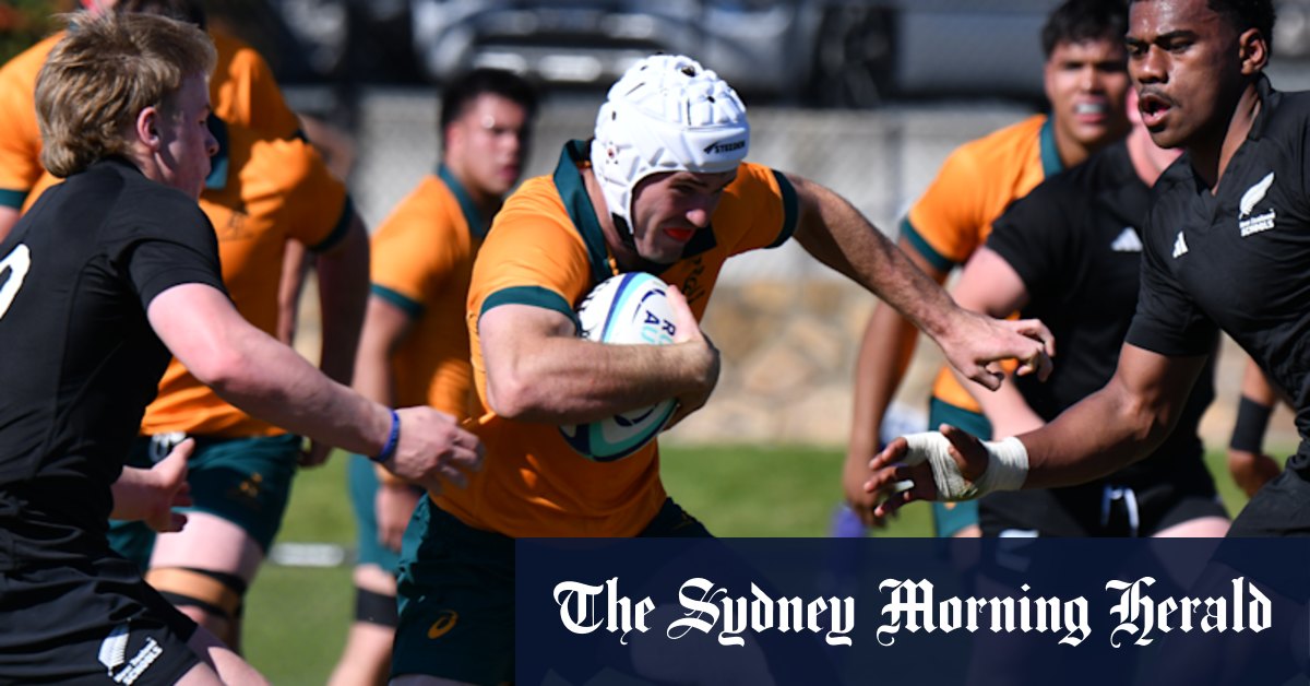 Future Wallabies run riot to score 81 points against New Zealand