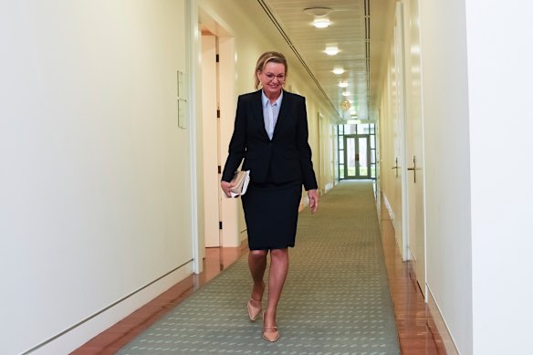 Opposition Leader Sussan Ley leaves the party room meeting alone.