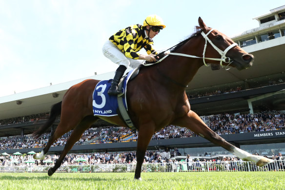 Autumn Glow wins the Darby Munro Stakes at Rosehill in March.