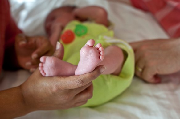 About 80 per cent of parents who chose surrogacy find their surrogate overseas.