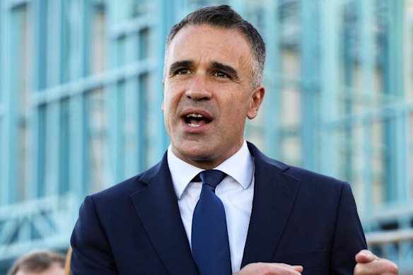 SA Premier Peter Malinauskas says the GST deal has bastardised federal-state financial relations.