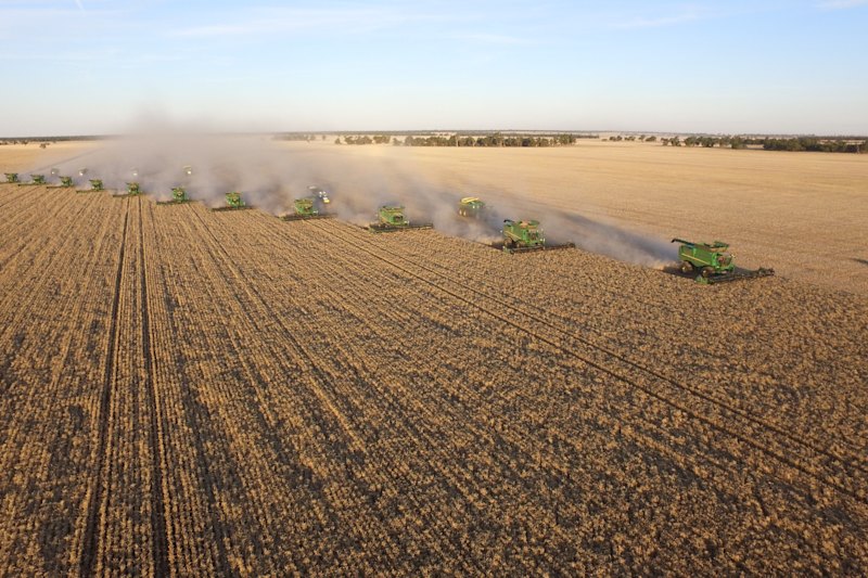 The Buckingbong Aggregation totals 4245 hectares of cropping area in three parcels, in the Riverina region of NSW.