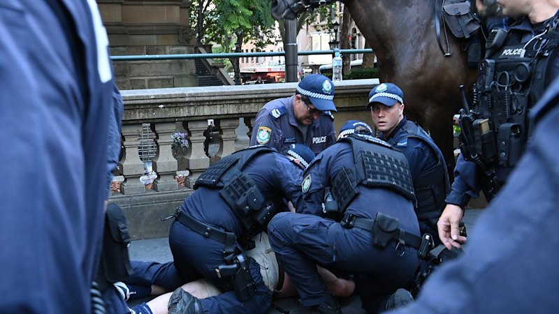 Palestine Action Group legal challenge decision handed down