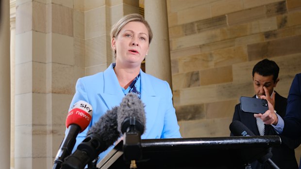 Minister Amanda Camm announced the new advisory panel in May, but it is not clear how – or if – it and a new office in her department will keep the public updated.