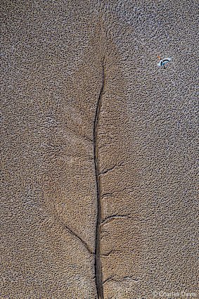 Charles Davis’ shot Jabiru Leaf features at the Australian Geographic Nature Photographer of the Year exhibition at the Australian Museum. 
