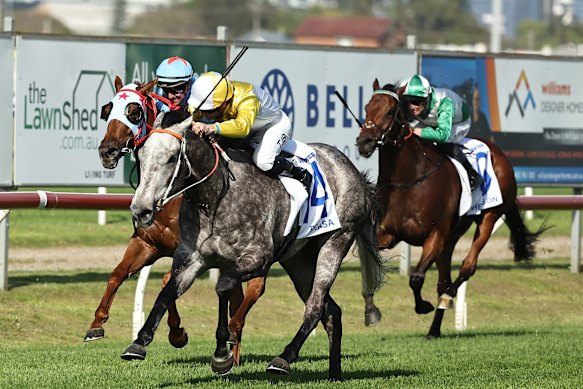 Briasa wins The Hunter last November.