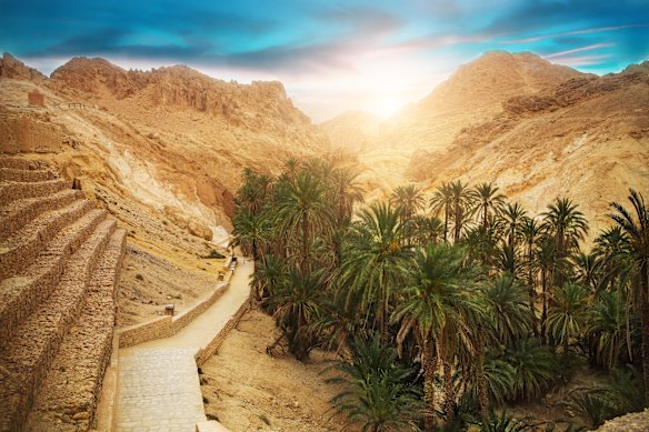 A mountain oasis.