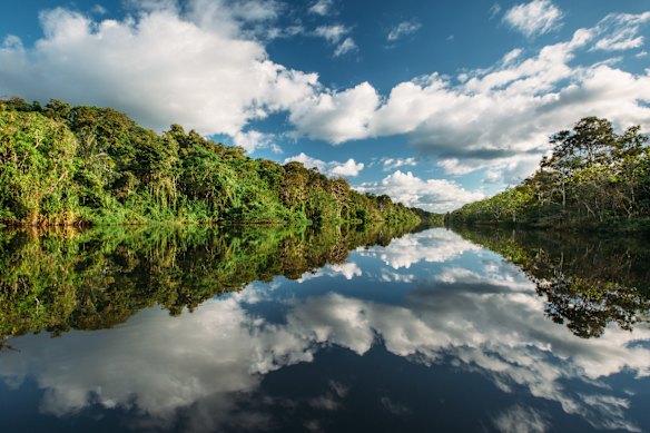 Heading into the upper reaches of the Amazon and its tributaries, as the rainforest erupts to the sound of birdsong. 