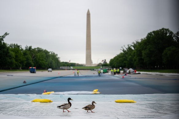 The Lincoln Memorial Reflecting Pool in Washington has been another major target of Trump’s Washington makeover agenda.