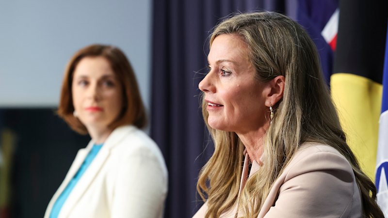 eSafety Commissioner Julie Inman Grant questions social media ban