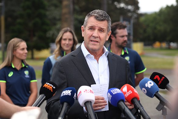 Mike Baird resigned from his role at Cricket Australia.