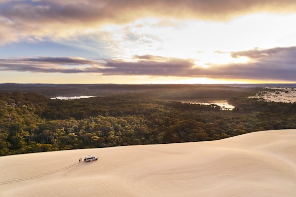 Exploring the Yeagarup sand dunes, with Pemberton Discovery Tours.