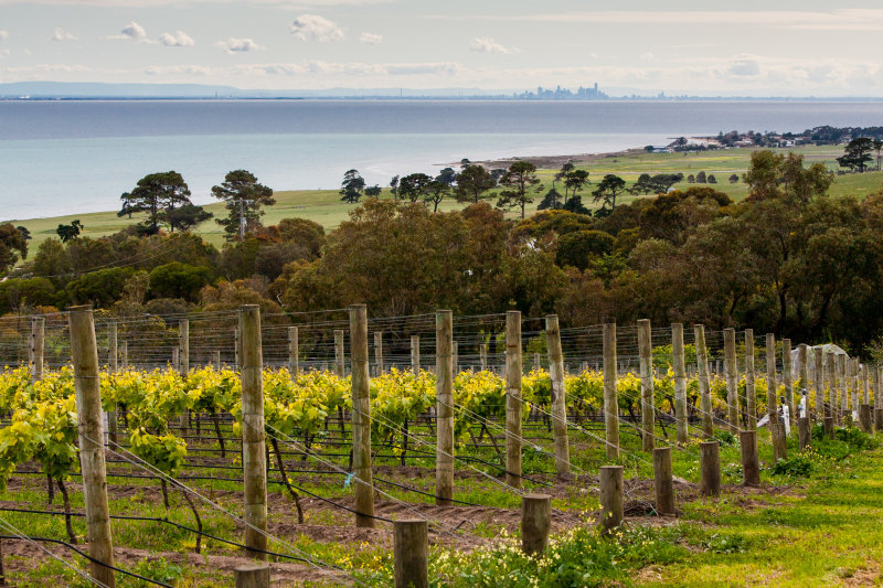 The Bellarine Peninsula’s house prices have soared over the past year.