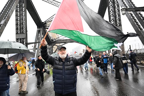 Pro-Palestine protesters march across the Sydney Harbour Bridge on Sunday.
