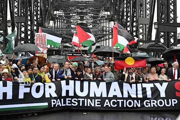 Pro-Palestine protesters march across the Sydney Harbour Bridge on Sunday.