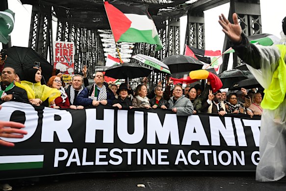 Almost 100,000 pro-Palestine protesters marched across the Sydney Harbour Bridge.   