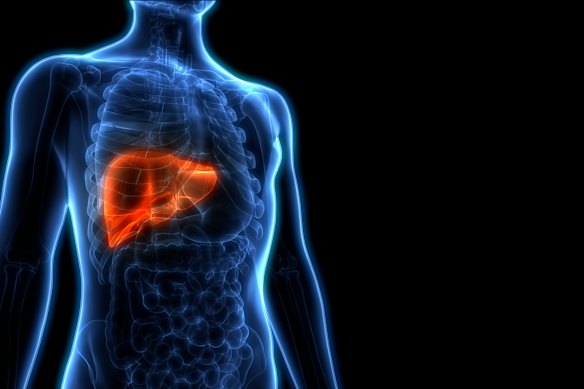 Liver toxicity is a risk of gene therapy.