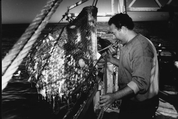 Joe Bagnato the skipper/owner of the Arakiwa.