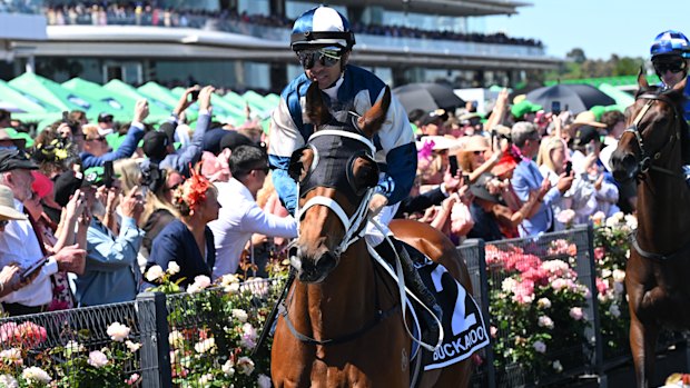 Connections are yet to decide if Buckaroo will run in this year’s Melbourne Cup. He finished ninth in last year’s race.
