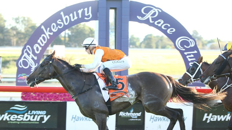 Race-by-race preview and tips for Hawkesbury on Wednesday