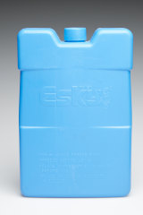 Mike Simcoe started with the Esky Ice Brick.