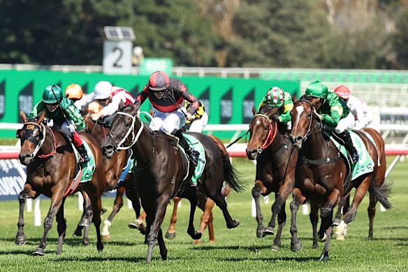 Headquarters hosts a seven-race card on the Kensington track on Wednesday.