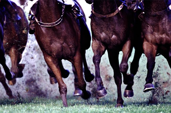 Racing returns to Bathurst on Tuesday with a seven-race card.