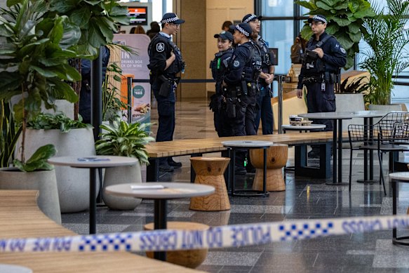 Australian Federal Police at Sydney Domestic Airport following the incident.