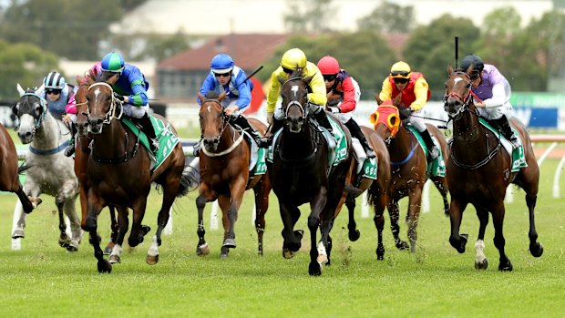 Corowa hosts a seven-race card on Monday.