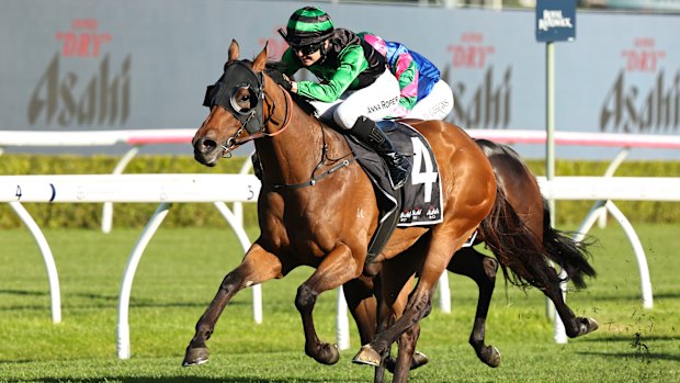 Thunderlips has won his past two, starting at Randwick on June 7.