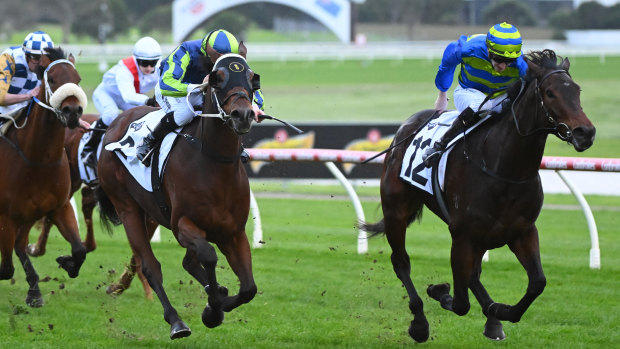 Can Pacific Ruby origin  a large  upset successful  the Winter Stakes?