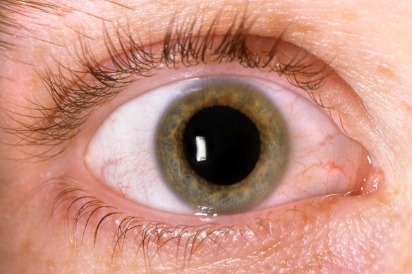 Eye health can reveal everything from your risk of Type 2 diabetes to rheumatoid arthritis and high cholesterol.