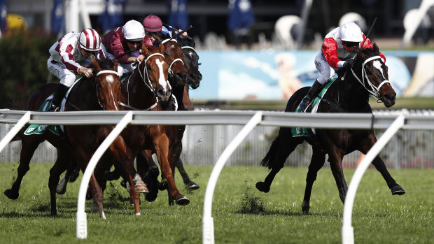 Racing returns to Nowra on Monday.