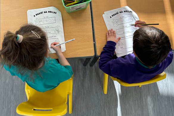 Pupils work on an Irish-language lesson at the Scoil na Seolta.