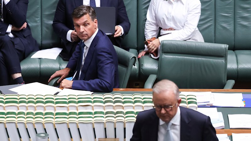 Opposition leader blames Labor’s budget for Coalition’s struggle against One Nation surge