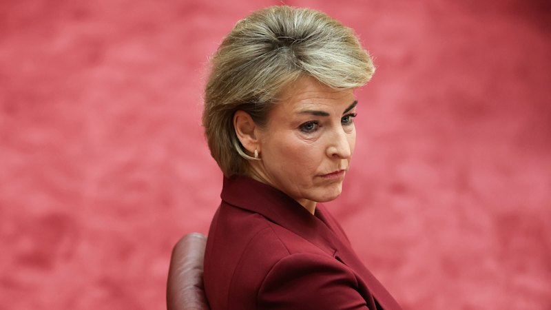 Shadow AG Michaelia Cash defends adviser’s decision to defend BRS in article