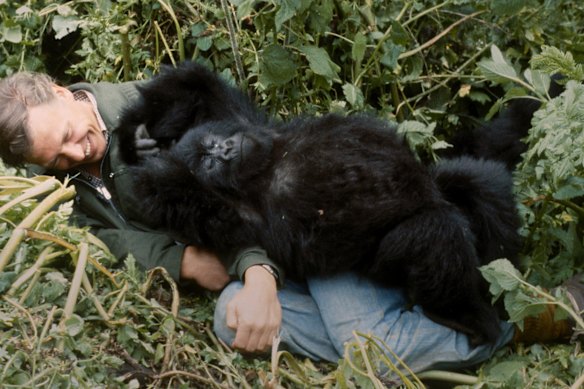 Attenborough still dreams of his encounter with gorillas in Rwanda.